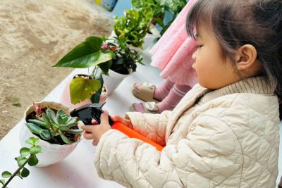 Kỹ năng chăm sóc cây xanh. Gv Trần Thị Na. Lớp Mầm