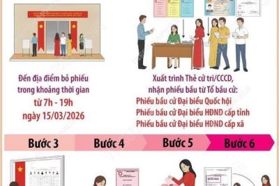 BẦU CỬ QUỐC HỘI VÀ HĐND: 6 BƯỚC BỎ PHIẾU BẦU CỬ ĐÚNG QUY ĐỊN