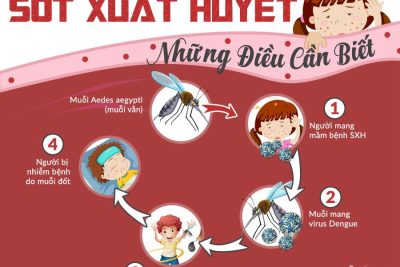 CÙNG NHAU ĐÁNH BAY MUỖI – ĐẨY LÙI SỐT XUẤT HUYẾT